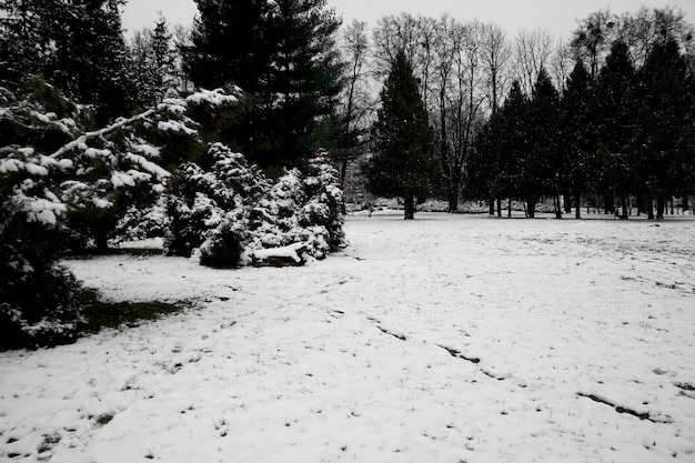 Natürliche schöne Winterlandschaft