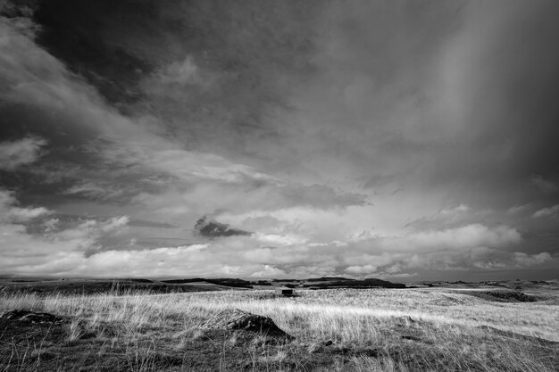 Natürliche Wiesenlandschaft