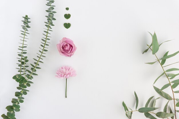 Natürliche Zusammensetzung mit zwei rosa Blüten und floralen Herzen