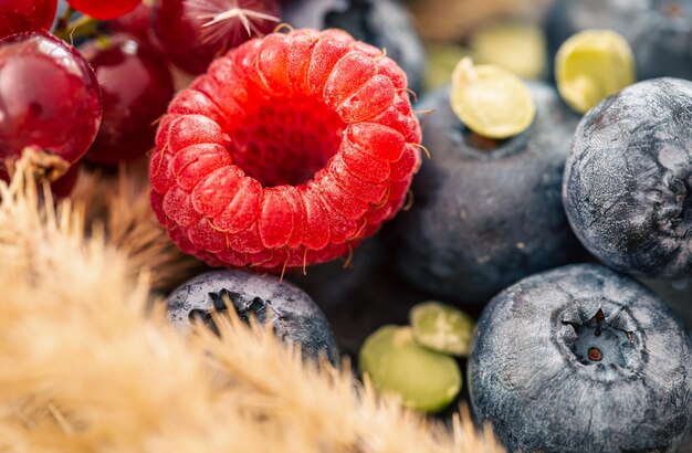 Natürlicher Hintergrund mit verschiedenen Waldbeeren Makroaufnahme