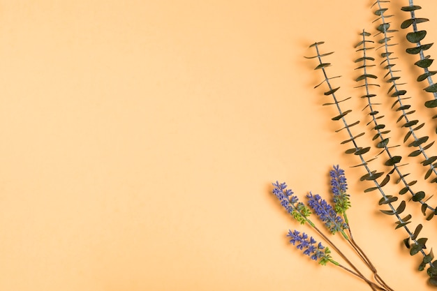 Kostenloses Foto natürlicher lavendel der draufsicht auf papier