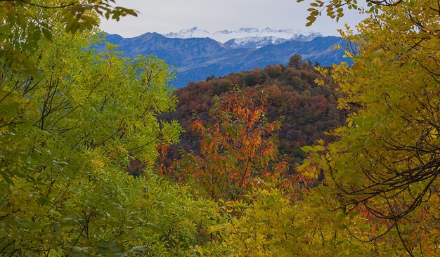 Natürlicher Rahmen mit Blick auf das Massiv der Maladetas