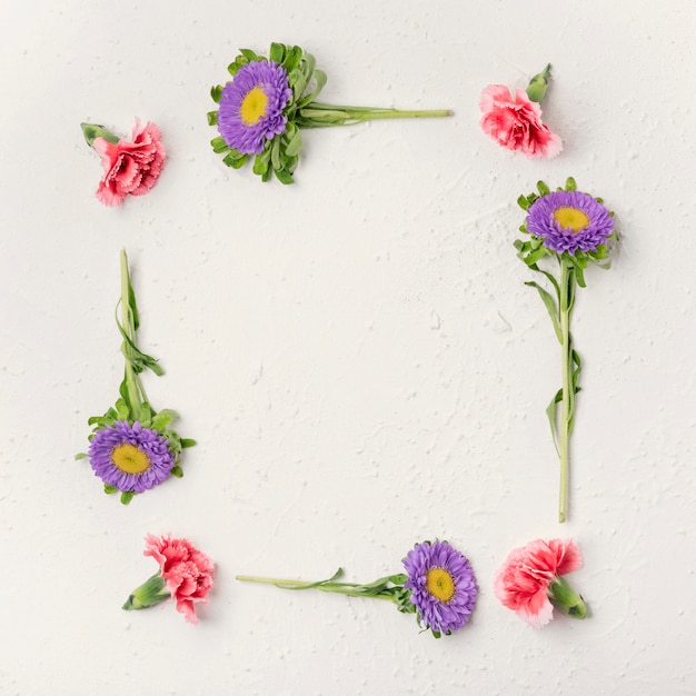 Natürlicher Veilchen- und Gartennelkenblumenrahmen