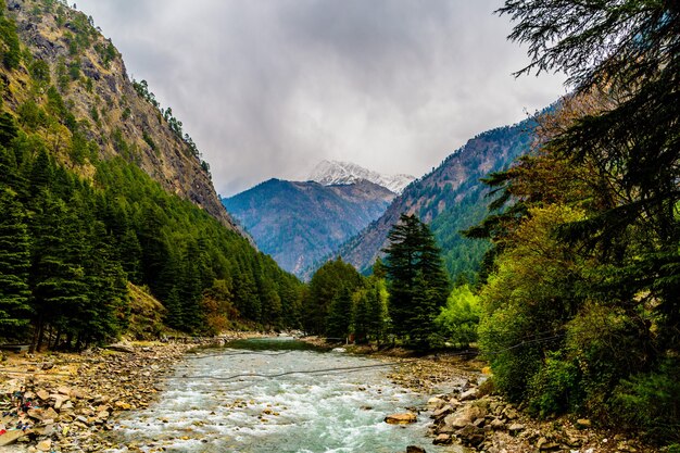 Natur des Chalal Trek Trail, Sosan, Indien