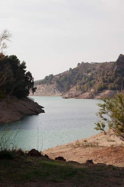 Kostenloses Foto naturlandschaft mit grünen bäumen