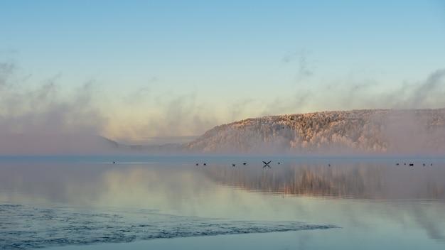 Nebel, Sonnenaufgang, tanzende Feen schaffen eine verträumte Szene. Schöner Morgen im Morgengrauen