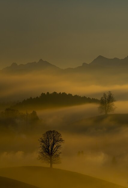 Nebel und Berge