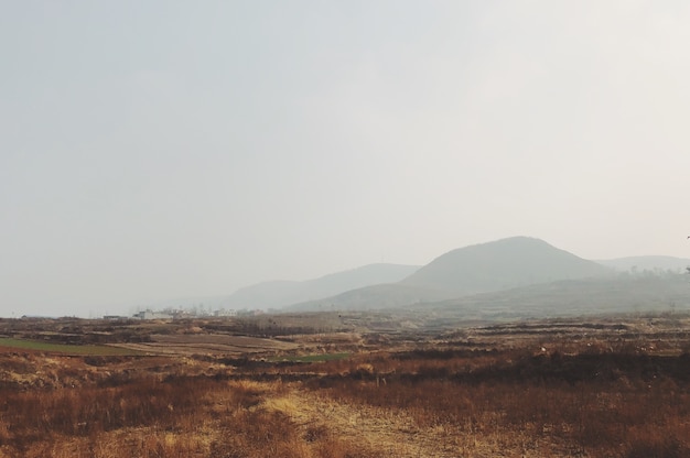 Nebelhafter Morgen in einem Feld mit Bergen auf dem Hintergrund