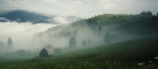 Nebelige morgensommerberglandschaft mit nebel und grüner wiese. ländliche häuser im nebel und dramatischer bewölkter himmel. karpaten, ukraine, panoramablick