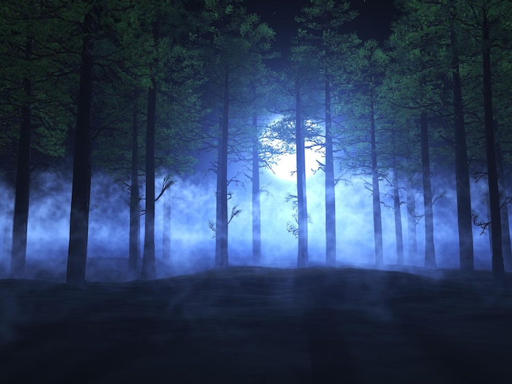 Kostenlose Foto nebelige waldlandschaft 3d