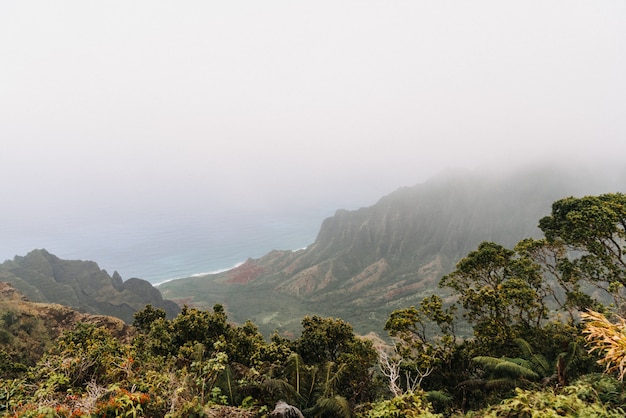 nebliger kōkeʻe State Park in Hawaii USA