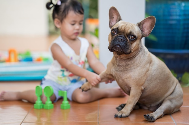 Nette französische Bulldogge und ein asiatisches weibliches Kind, das zu Hause spielt