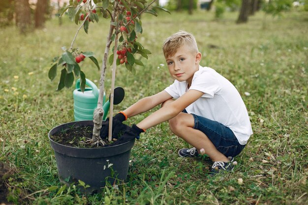 Netter kleiner Junge, der einen Baum auf einem Park pflanzt