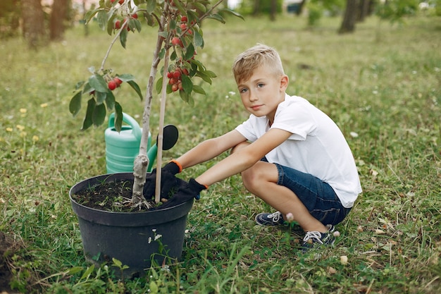 Netter kleiner Junge, der einen Baum auf einem Park pflanzt