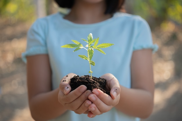 Nettes kleines Kindermädchen mit Sämlingen auf Sonnenunterganghintergrund. Lustiger kleiner Gärtner. Frühlingskonzept, Natur und Pflege. Marihuana wächst, pflanzt Cannabis und hält es in einer Hand.