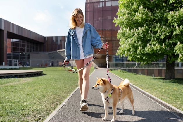 Nettes shiba inu haustier mit familie