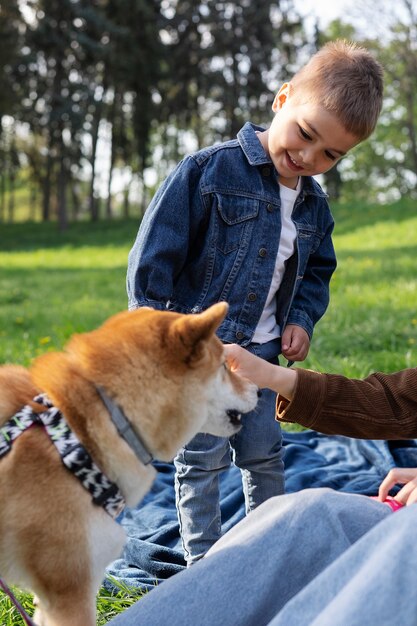 Nettes shiba inu haustier mit familie