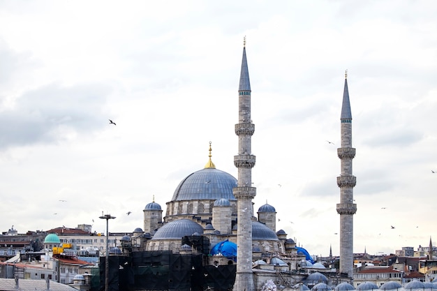 Neue Moschee in Istanbul bei bewölktem Wetter mit Wohngebäuden herum und fliegenden Vögeln, Türkei