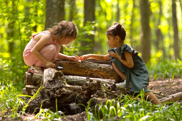 Kostenloses Foto neugierige kinder bei einer schatzsuche