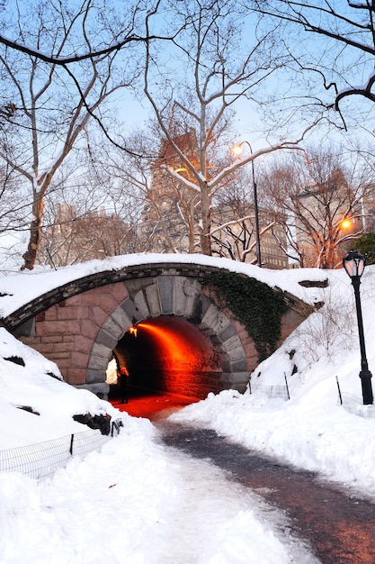Kostenloses Foto new york city manhattan central park im winter