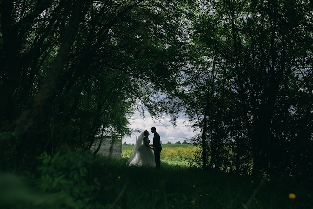 Newlyweds die Natur genießen