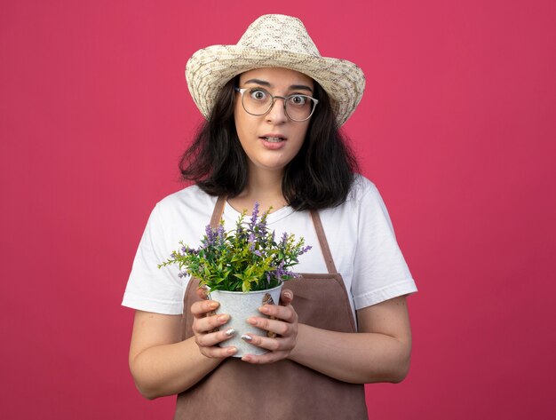 Ängstliche junge brünette Gärtnerin in optischen Gläsern und in Uniform, die Gartenhut trägt, hält Blumentopf lokalisiert auf rosa Wand