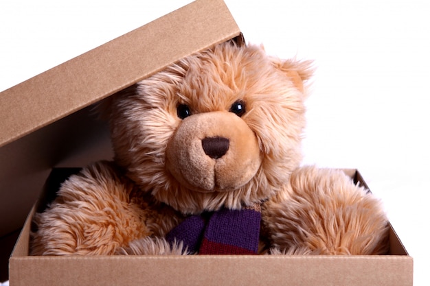 Kostenloses Foto niedlicher teddybär in der geschenkbox