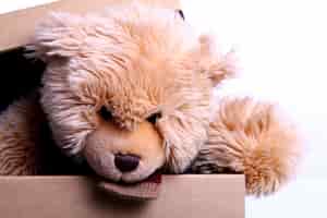 Kostenloses Foto niedlicher teddybär in der geschenkbox