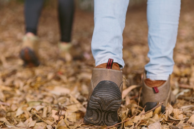 Niedrige Schnittansicht von Frauen, die in Wald gehen