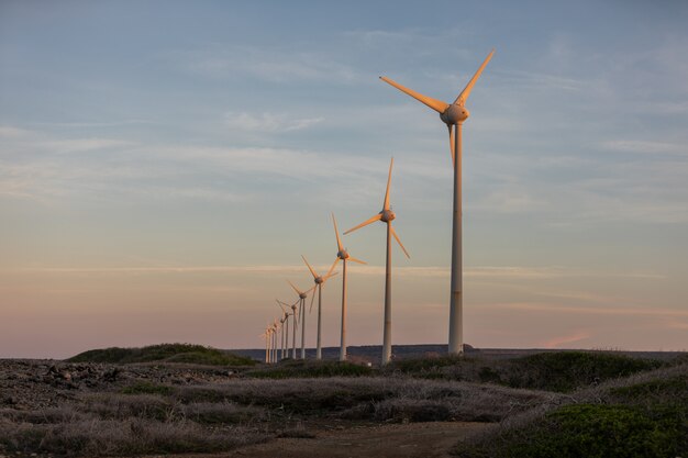 Niedriger Winkelschuss von Windmühlen in der Mitte eines Feldes während des Sonnenuntergangs in Bonaire, Karibik