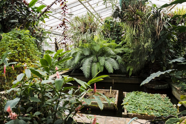 Noch Leben mit Gartenarbeitkonzept