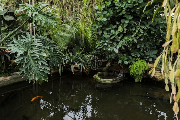 Noch Leben mit Gartenarbeitkonzept