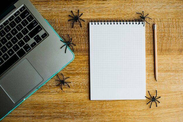 Notebook und Spinnen in der Nähe von Laptop