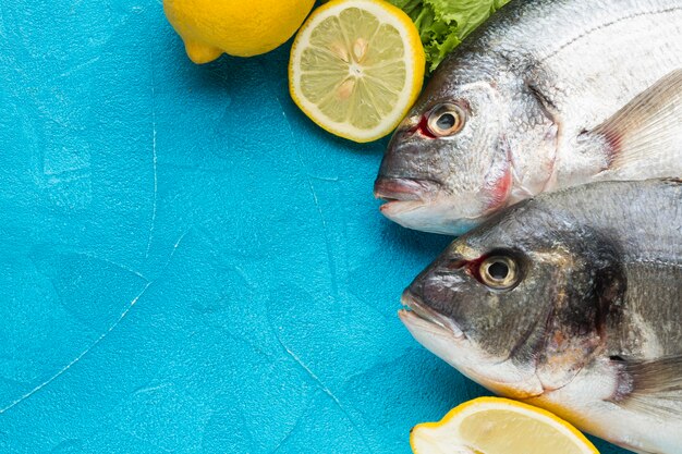 Oben Ansicht Fisch auf blauem Hintergrund