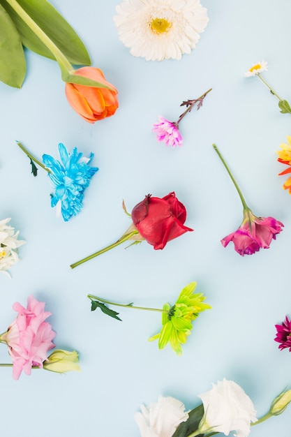 Obenliegende Ansicht der unterschiedlichen Art der bunten Blumen auf blauem Hintergrund