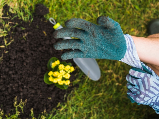 Obenliegende Ansicht des tragenden Handschuhs des Gärtners Hand