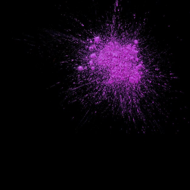 Obenliegende Ansicht des trockenen purpurroten holi färbte über schwarzem Hintergrund