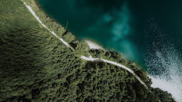 Obenliegende Luftaufnahme eines langen grauen Weges, der durch einen dichten Wald neben strahlend blauem Wasser führt