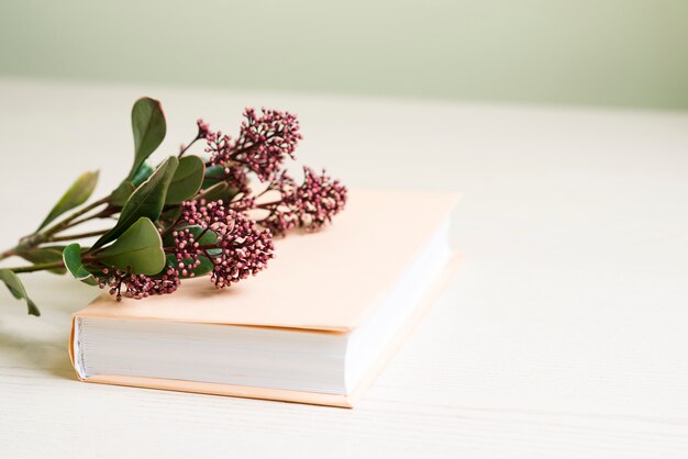 Oberfläche mit Buch und Blumen