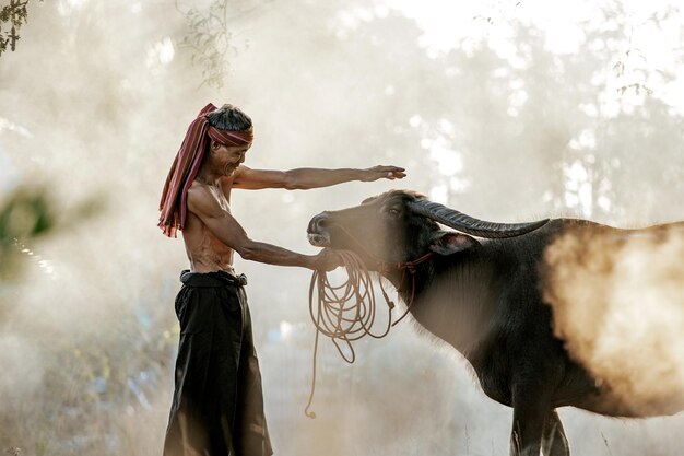 Kostenloses Foto oberlandwirt ohne hemd und turban im lendenschurz berühren büffel mit liebe und kümmern sich nach der arbeit in der landwirtschaft, rauchen im hintergrund und kopieren raum, ländliche landschaft in thailand