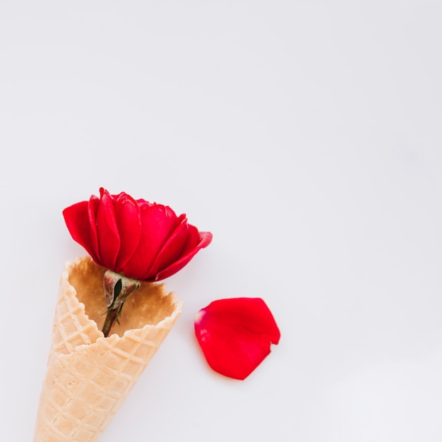 Oblatenbecher mit roter Blume und Blütenblatt