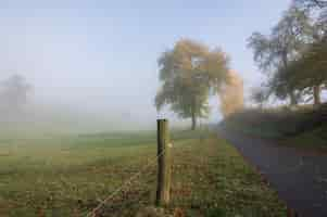 Kostenloses Foto odenwald an einem nebligen morgen