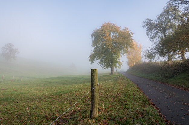 Odenwald an einem nebligen Morgen