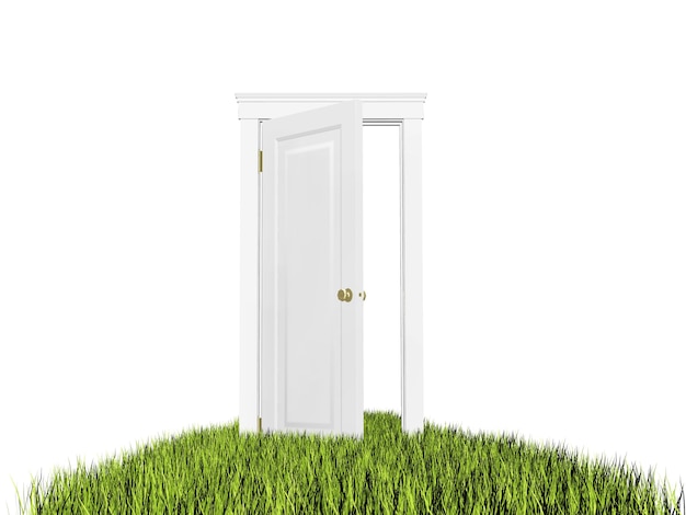 Offene Tür auf dem Rasen