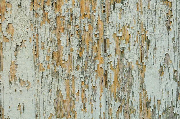 Old painted Wood Texture