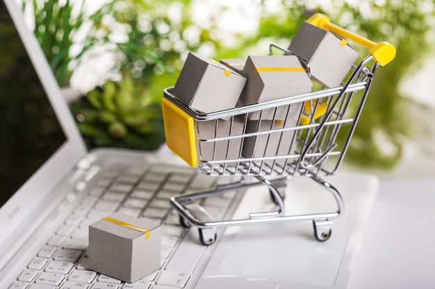 Online-shopping und lieferservice