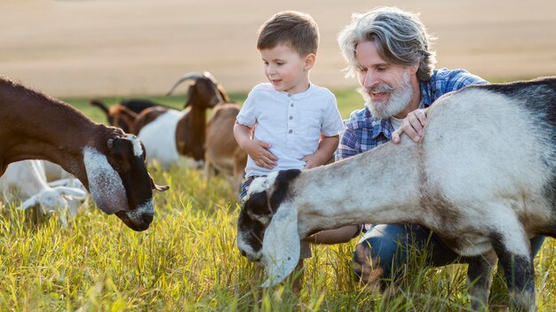 Opa und kleiner Junge mit Ziegen auf dem Land