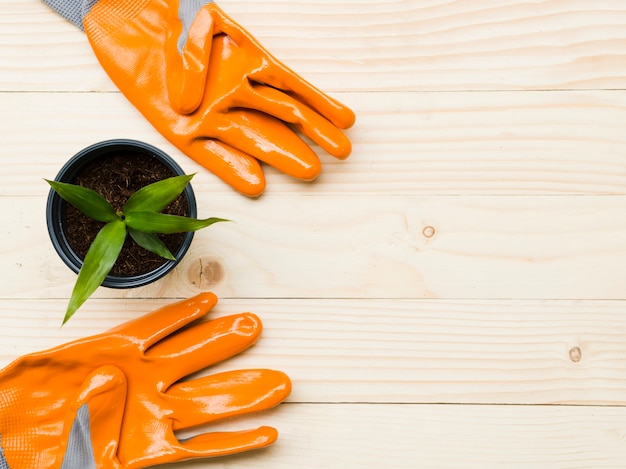 Kostenloses Foto orange gartenhandschuhe der draufsicht