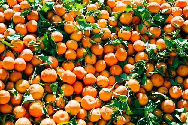 Orangen auf dem Markt in Marrakesch