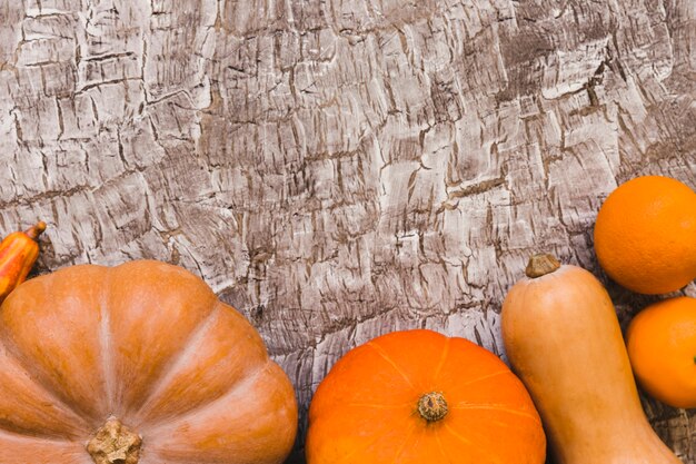 Kostenloses Foto orangen liegen in der nähe von kürbissen